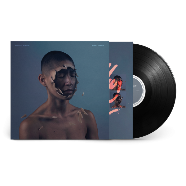 The Valley of Vision Black LP For Sale