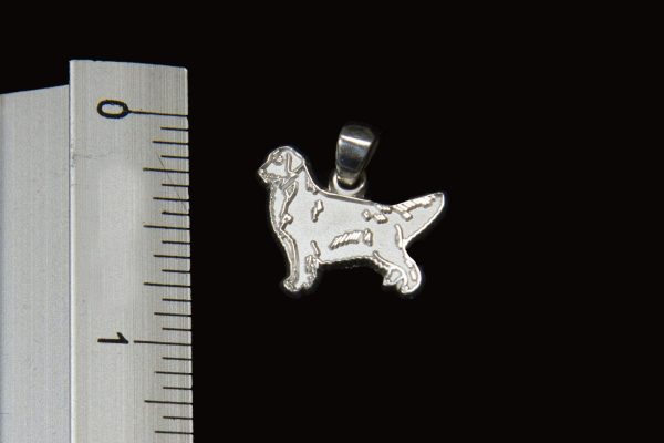 Chinese Shar-Pei Pendant For Discount - Image 2