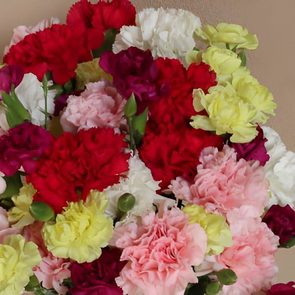 Save The Carnation Growers DIY Flower Kit Online Hot Sale