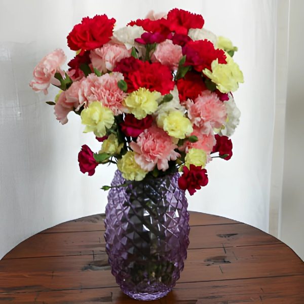 Save The Carnation Growers DIY Flower Kit Online Hot Sale - Image 2