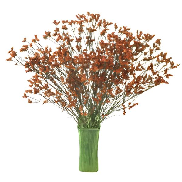 Burnt Orange Airbrushed Limonium Flowers Online Hot Sale - Image 3