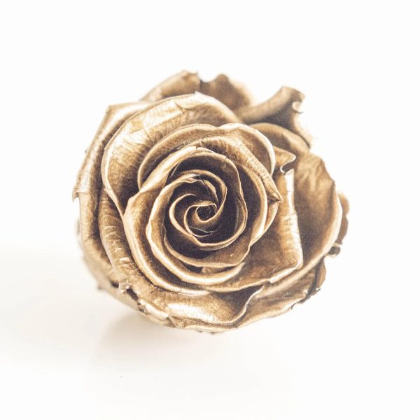 Preserved Gold Roses Online now