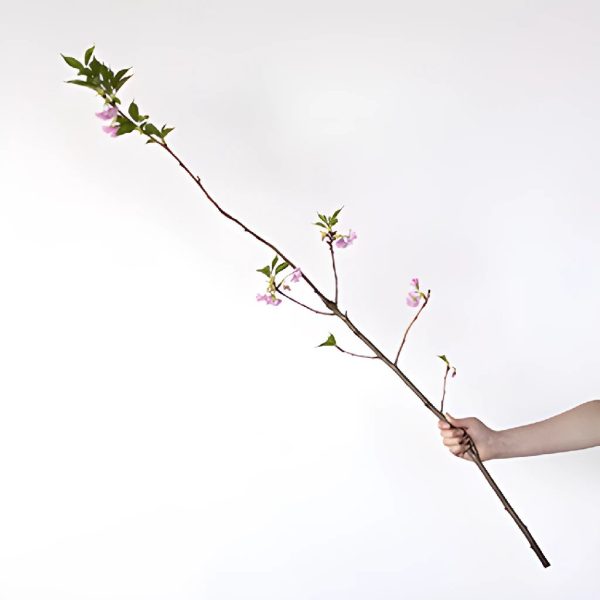 Blooming Pink Almond Blossom Branches Fashion - Image 2