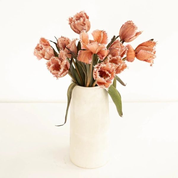 Coffee with Cream Brownie Lily Tulips For Cheap - Image 3