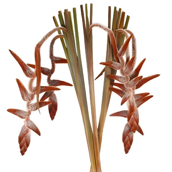 Plush Hanging Heliconia Flower Cheap - Image 2