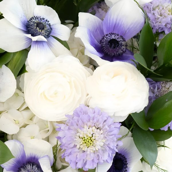 Soft Anemone Dreams DIY Flower Kit For Cheap