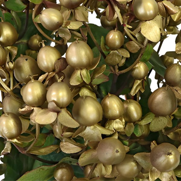 Gold Designer Enhanced Hypericum Berries Hot on Sale