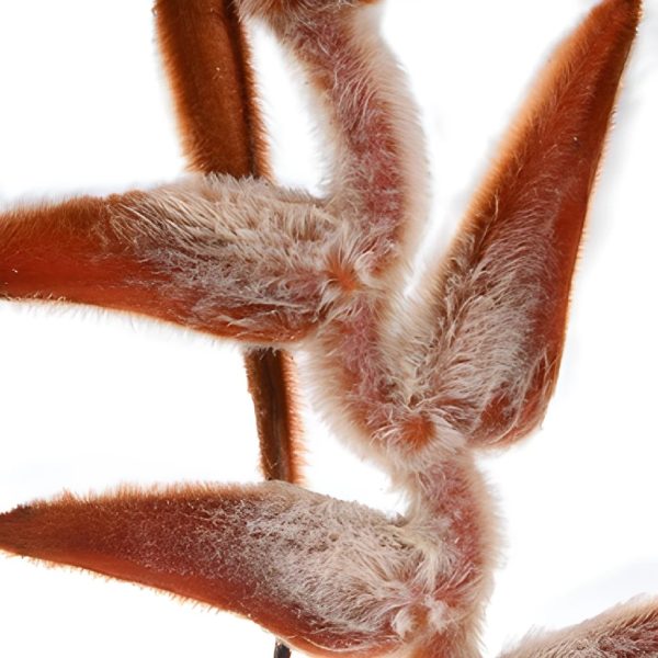 Plush Hanging Heliconia Flower Cheap - Image 3