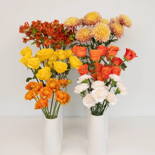 Orange Harvest DIY Flower Kit Cheap - Image 2