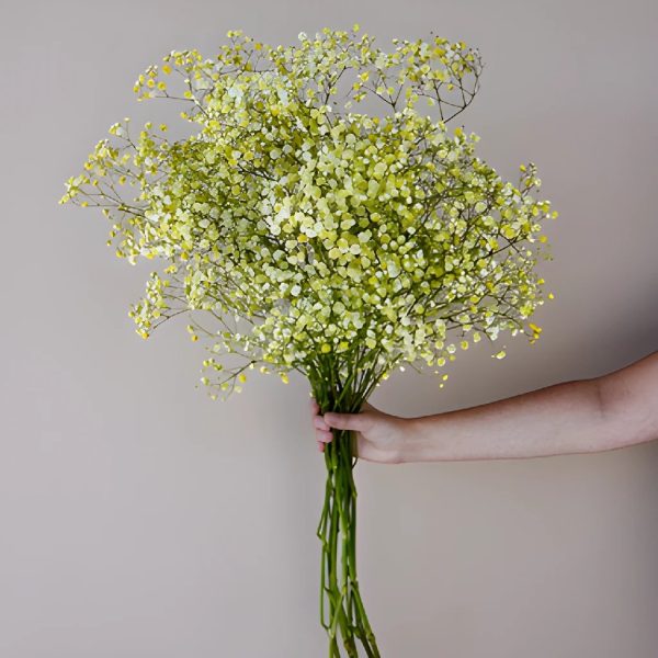 Yellow Airbrushed Baby s Breath Flower Cheap - Image 3