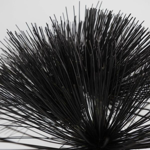 Tinted Black Papyrus Greenery on Sale